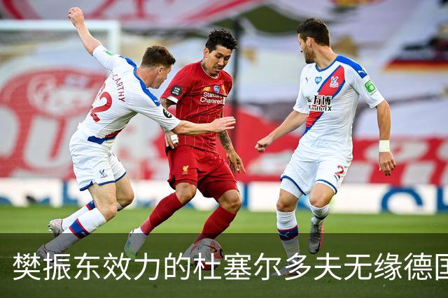樊振东效力的杜塞尔多夫无缘德国杯八强