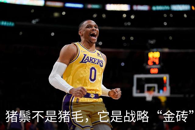 猪鬃不是猪毛，它是战略“金砖”！